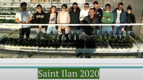 10 BTS en 2è année PH à l’école d’horticulture Saint-Ilan ont testé la production de plants de café en Bretagne...